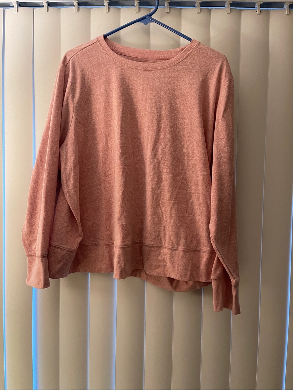 Cozy Ideology Dusty Rose Crewneck Cropped Shirt